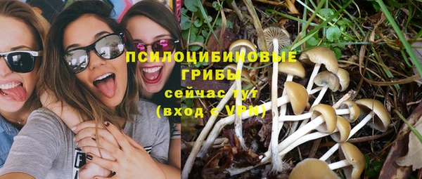 винт Пересвет