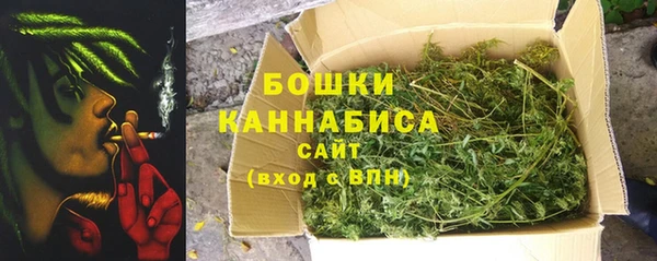 винт Пересвет